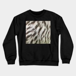 Feathers of a female Red Winged Blackbird Crewneck Sweatshirt